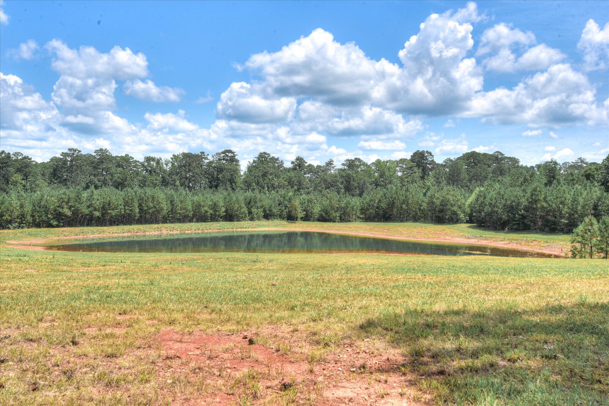 395 New Cut Road Edgefield, SC 29824 - Photo 65 of 74 65
