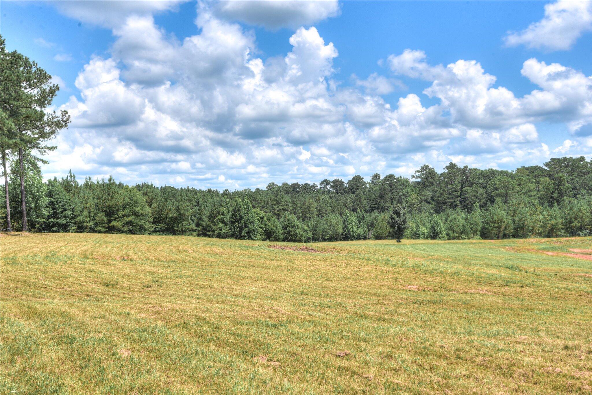 395 New Cut Road Edgefield, SC 29824 - Photo 66 of 74 66