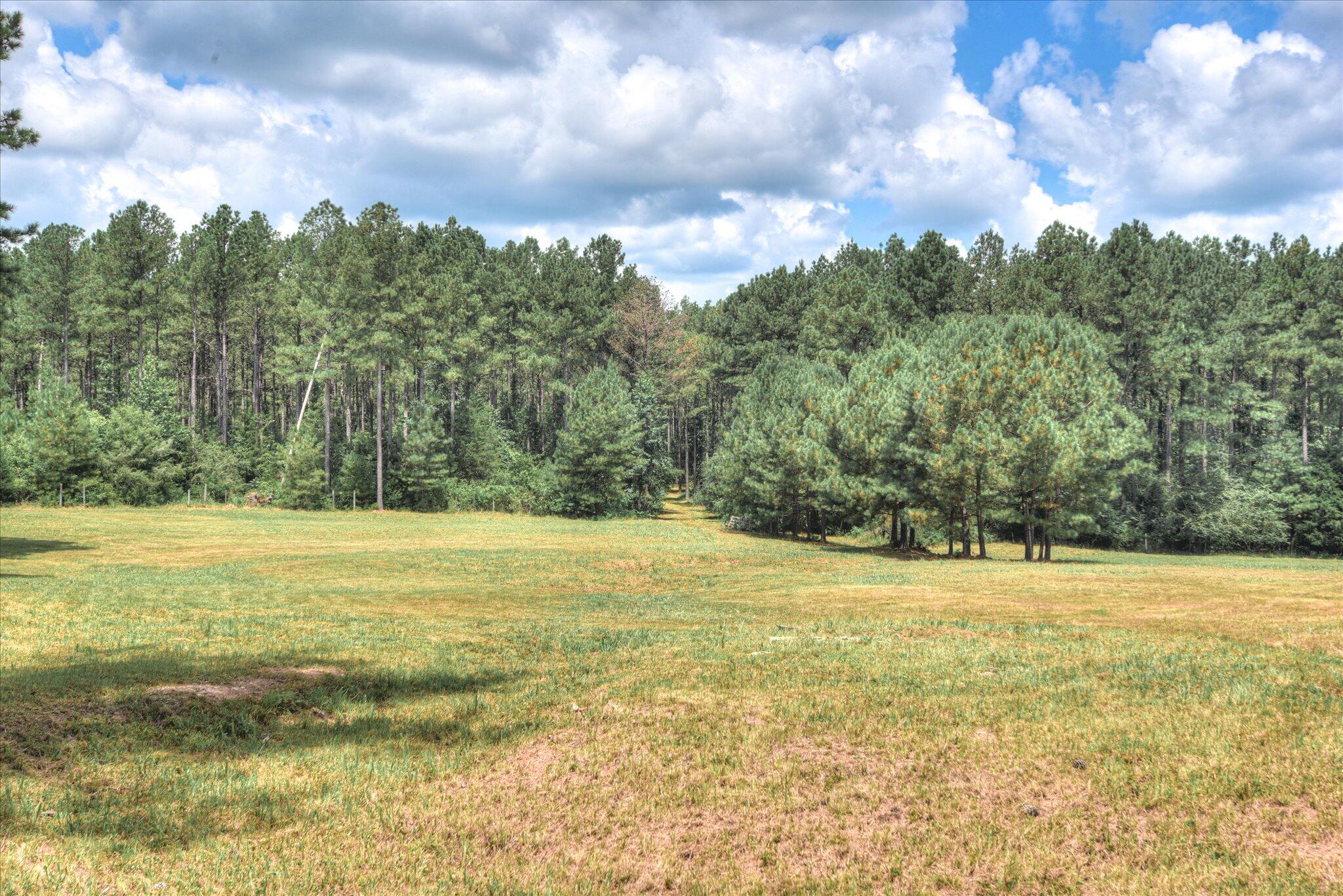 395 New Cut Road Edgefield, SC 29824 - Photo 67 of 74 67
