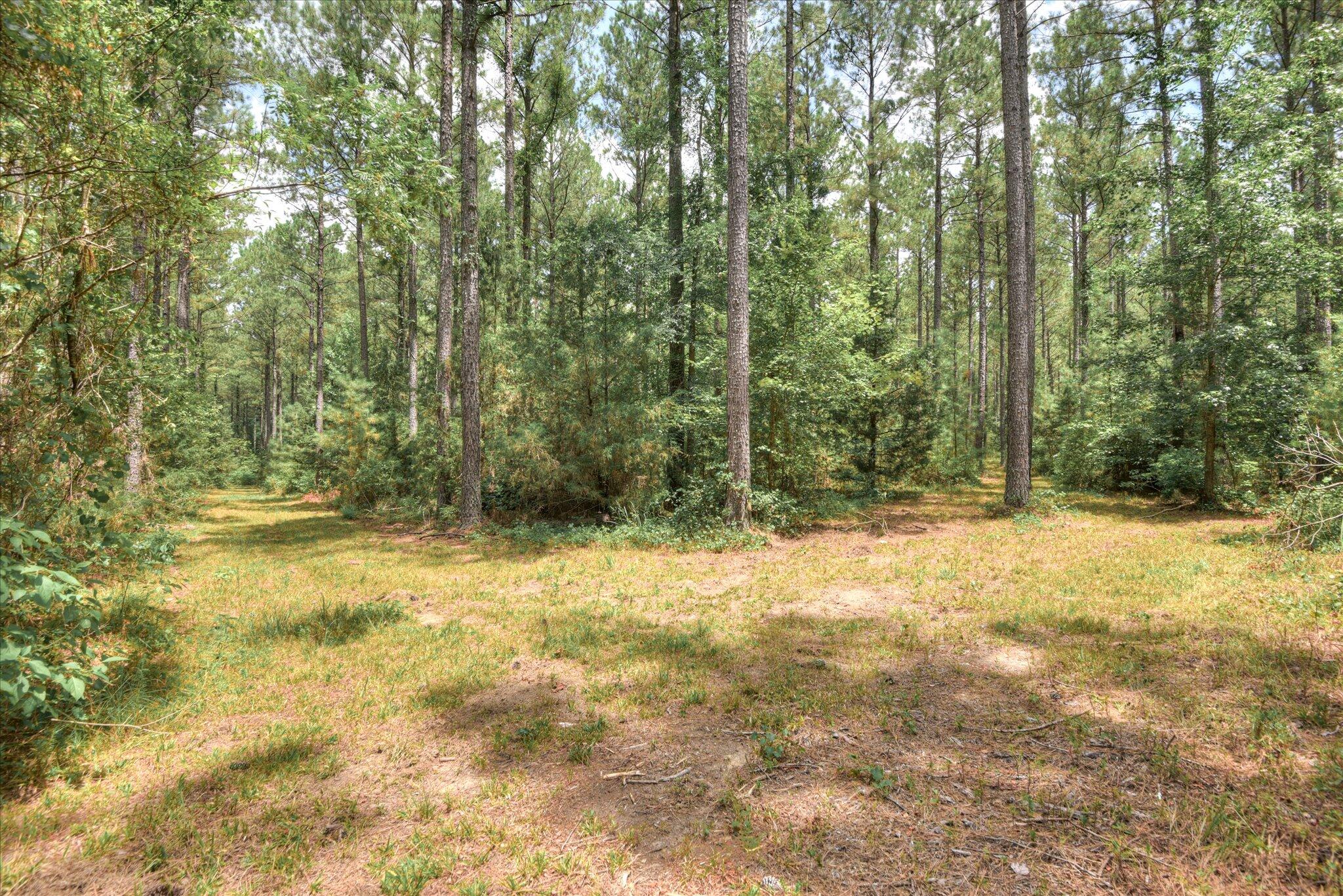 395 New Cut Road Edgefield, SC 29824 - Photo 68 of 74 68
