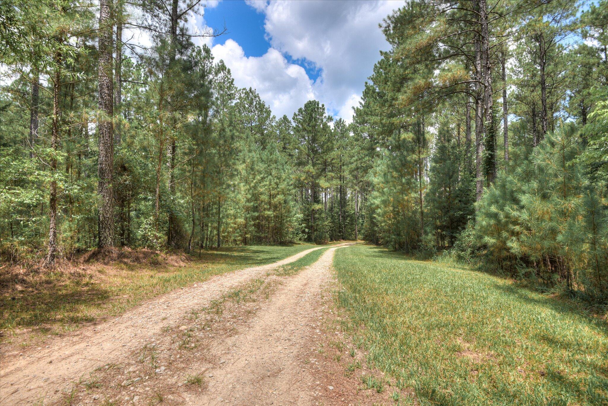 395 New Cut Road Edgefield, SC 29824 - Photo 69 of 74 69