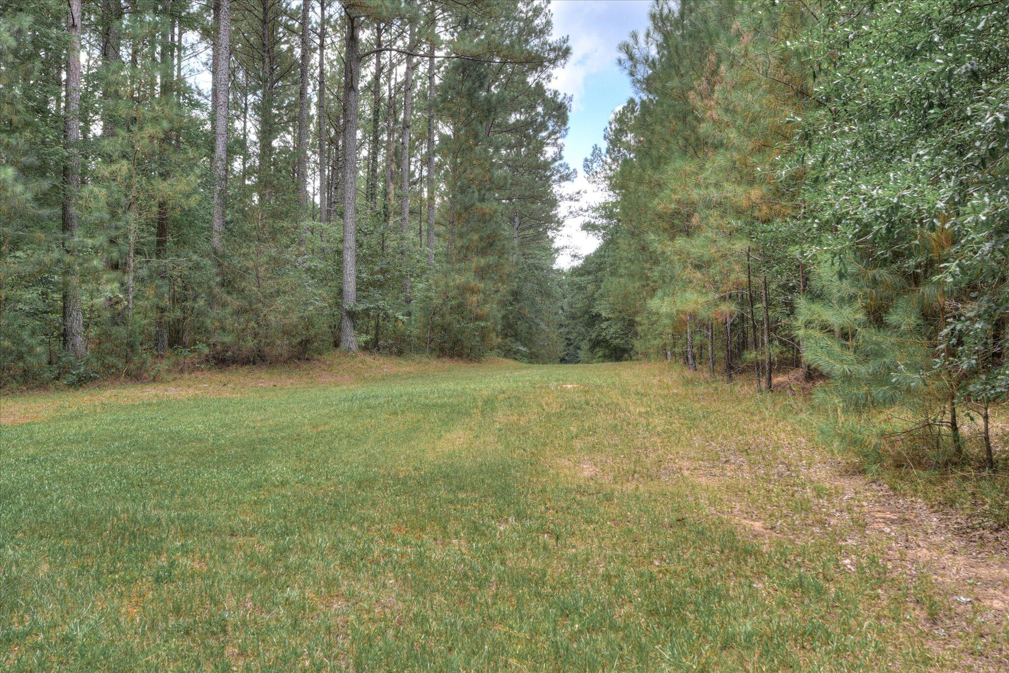 395 New Cut Road Edgefield, SC 29824 - Photo 71 of 74 71