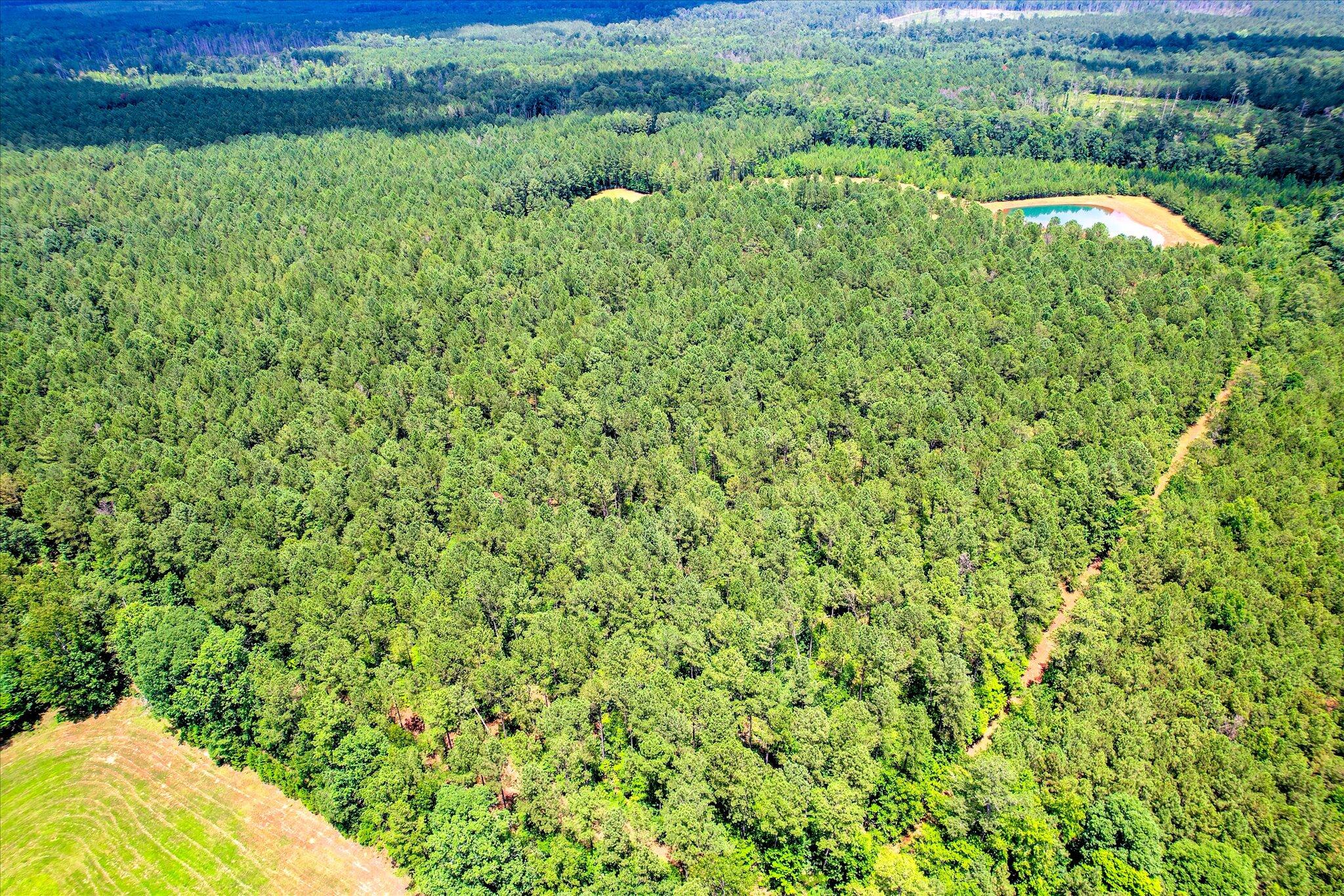 395 New Cut Road Edgefield, SC 29824 - Photo 74 of 74 74