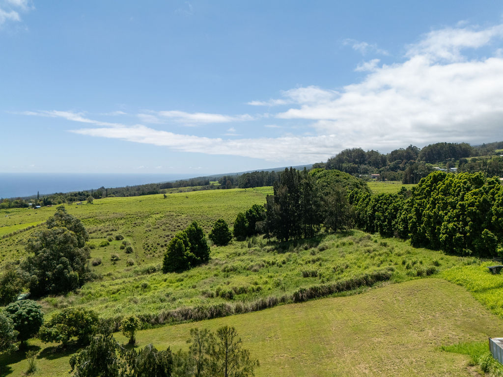 44-2527 Kalopa Mauka Road Honokaa, HI 96727 - Photo 5 of 29