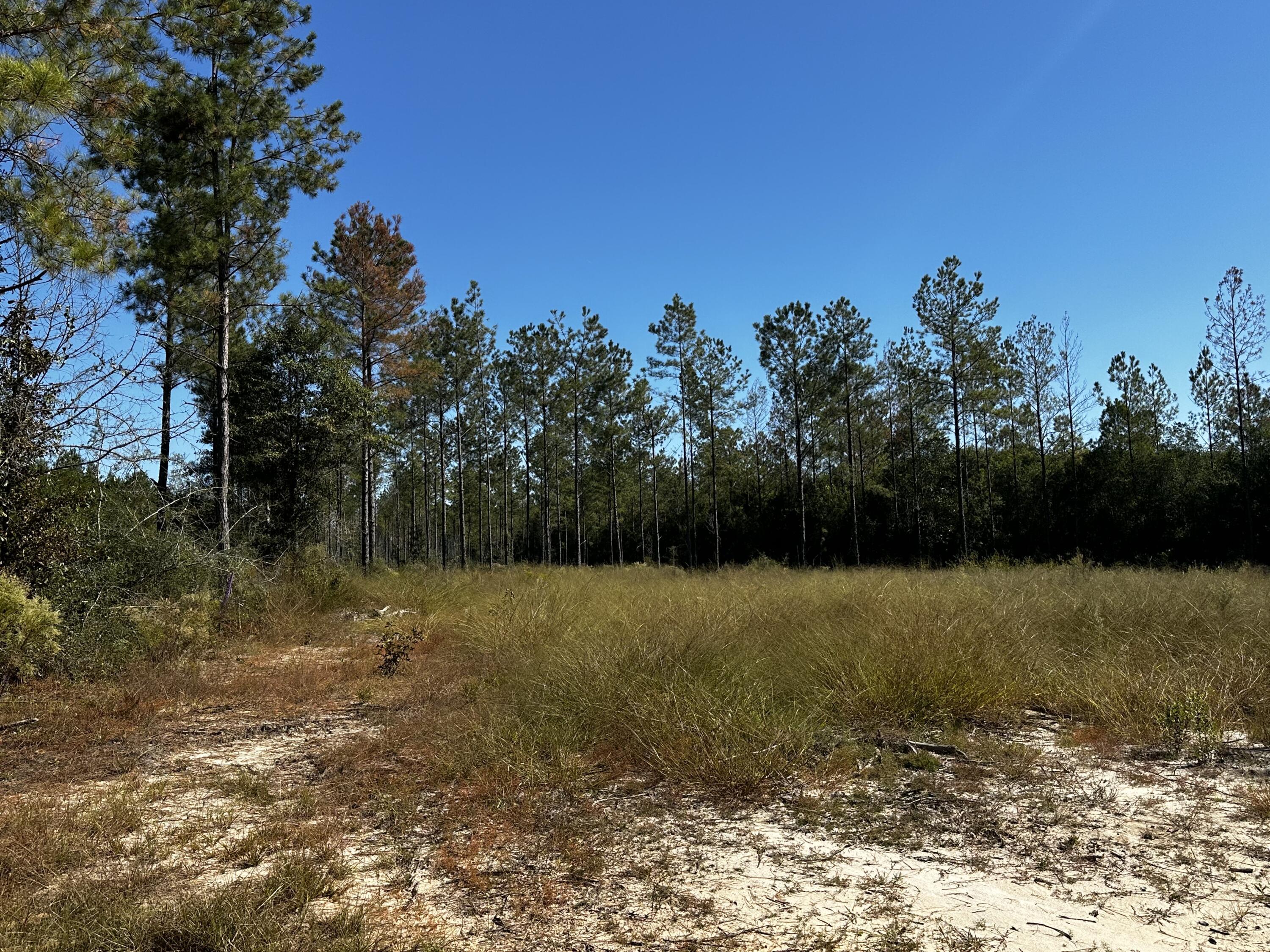 B3 Indian Ford Road Milton, FL 32570 - Photo 5 of 7 IMG_5780