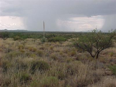 159 East Diamondback Road St. David, AZ 85630 - Photo 3 of 4