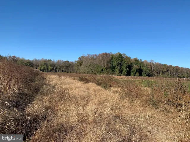 a view of a field with trees in the background