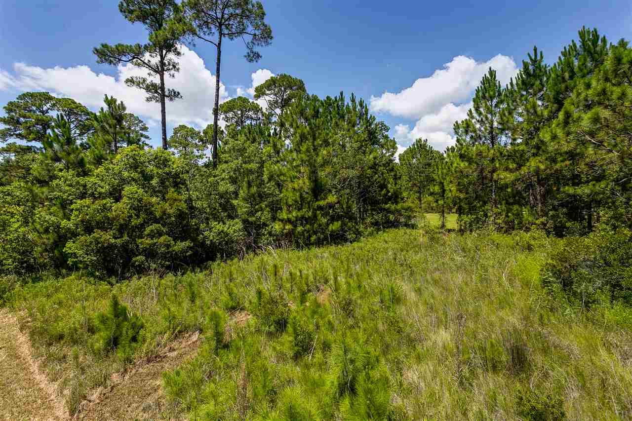 14894 Innerarity Point Road Pensacola, FL 32507 - Photo 9 of 21 Gallery Image 9