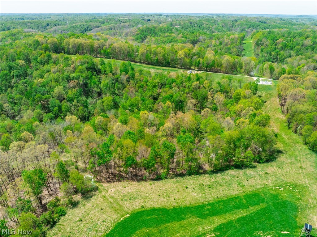 6268 Kings Ridge Road Newcomerstown, OH 43832 - Photo 34 of 46