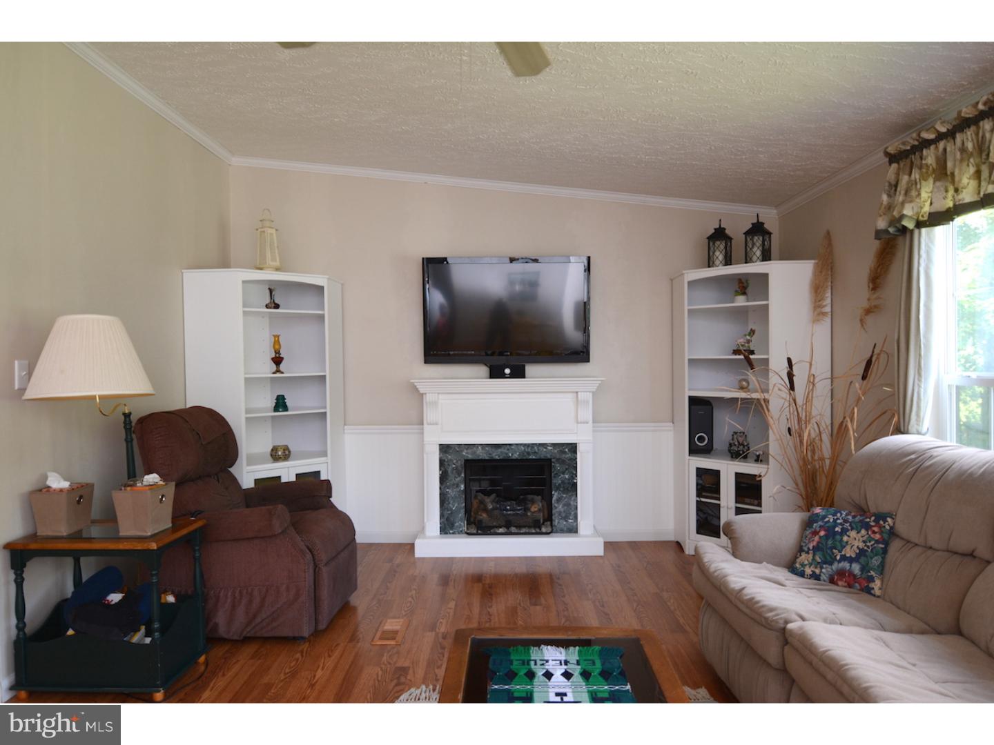 739 Cox Neck Road New Castle, DE 19720 - Photo 6 of 25 Fireplace