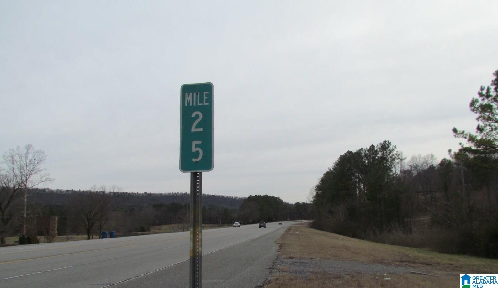 0 Highway 75 Oneonta, AL 35121 - Photo 6 of 6