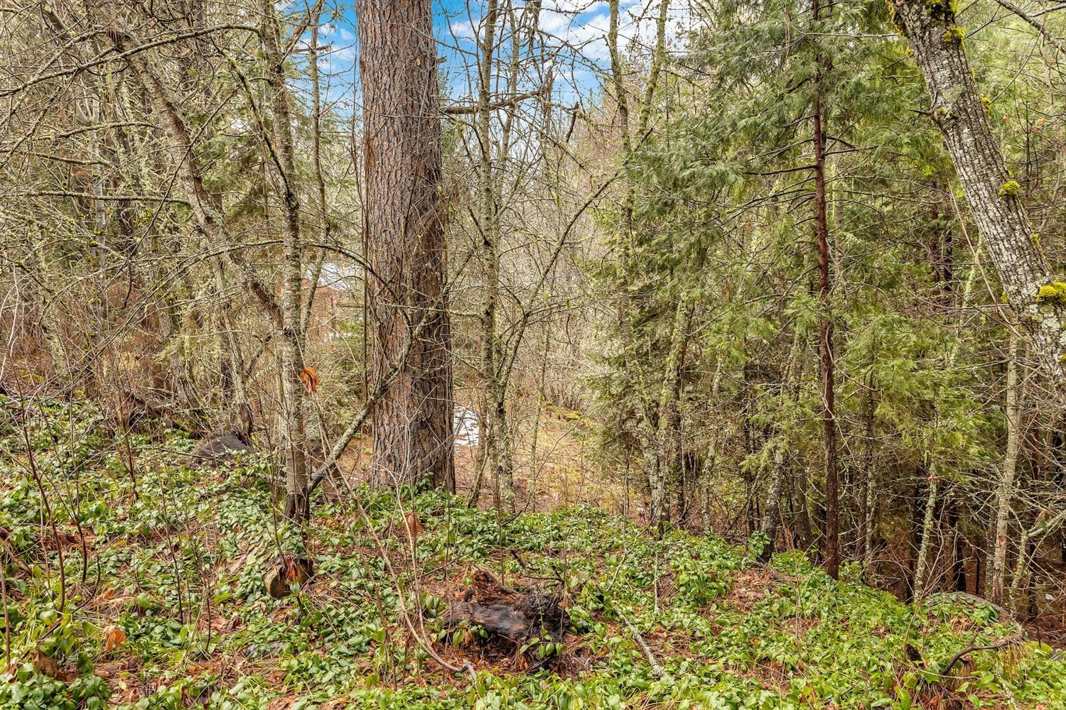 503 Fee Street Butte Falls, OR 97522 - Photo 32 of 35 View northwest across the second lot