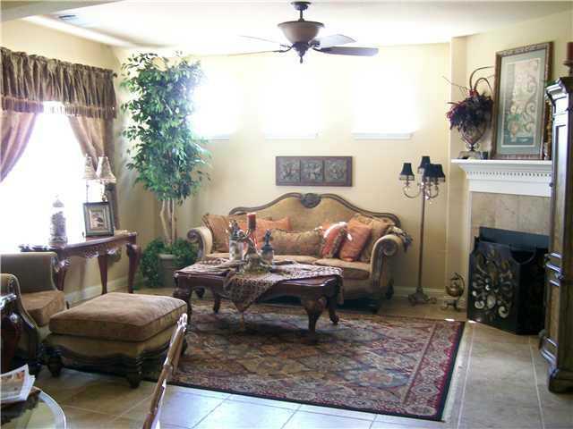 3313 Pine Needle Circle Round Rock, TX 78681 - Photo 3 of 12 a living room with furniture and a fireplace