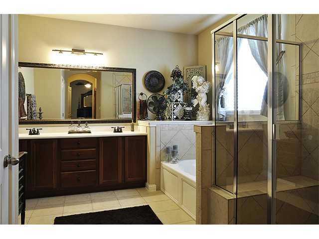 3313 Pine Needle Circle Round Rock, TX 78681 - Photo 10 of 12 a bathroom with a sink a mirror and a bathtub