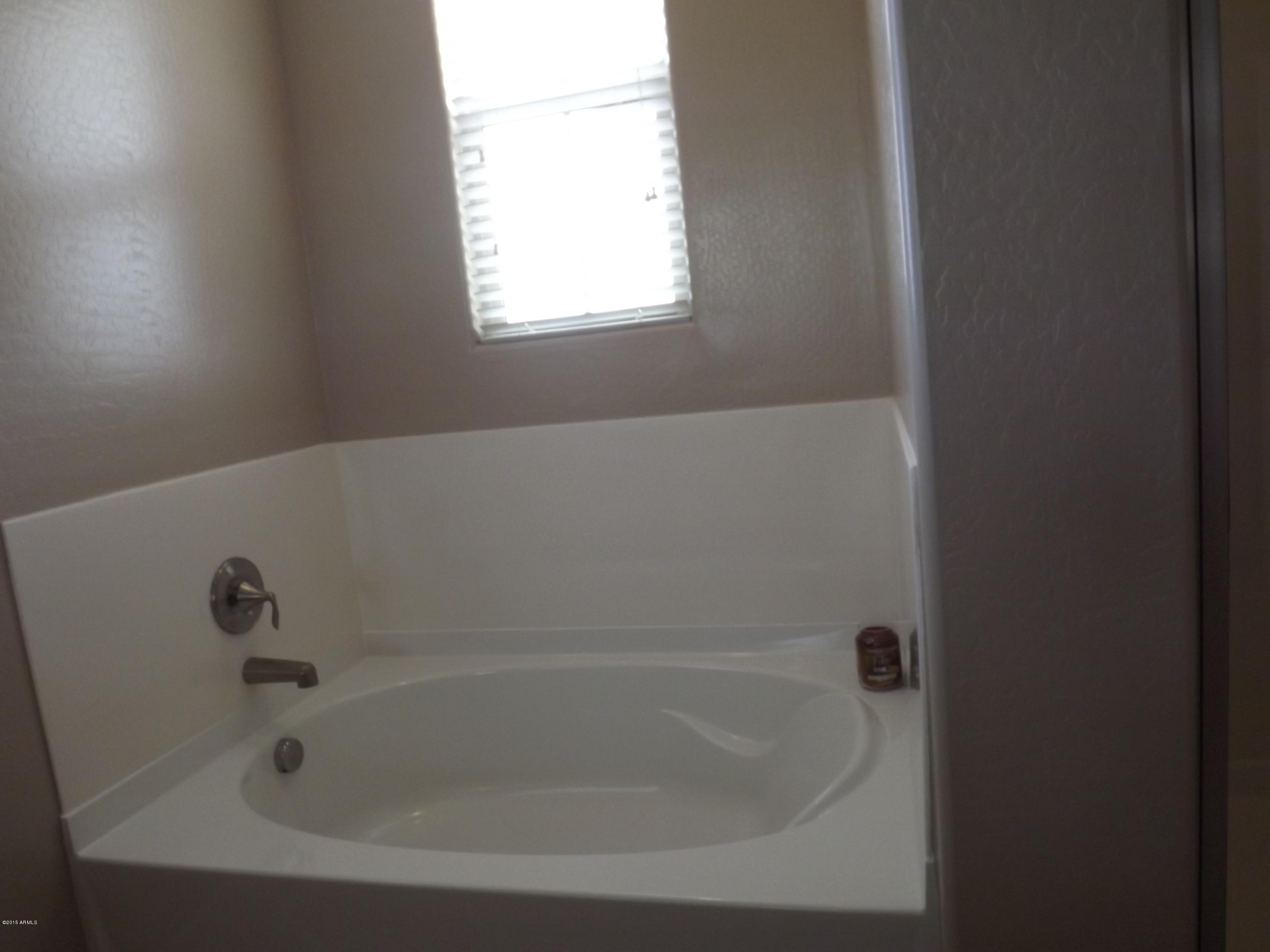 15345 West Bloomfield Road Surprise, AZ 85379 - Photo 27 of 32 Soaking tub in master bathroom