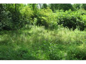 0 Drake Road, Unit TRACT 4 Abingdon, VA 24211 - Photo 3 of 9 Photo 3