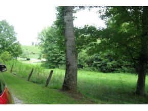 0 Drake Road, Unit TRACT 4 Abingdon, VA 24211 - Photo 8 of 9 Photo 8