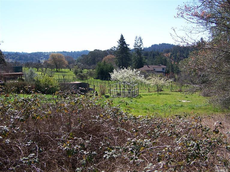 1258 Grandview Road Sebastopol, CA 95472 - Photo 1 of 1 a big yard with lots of green space and deers