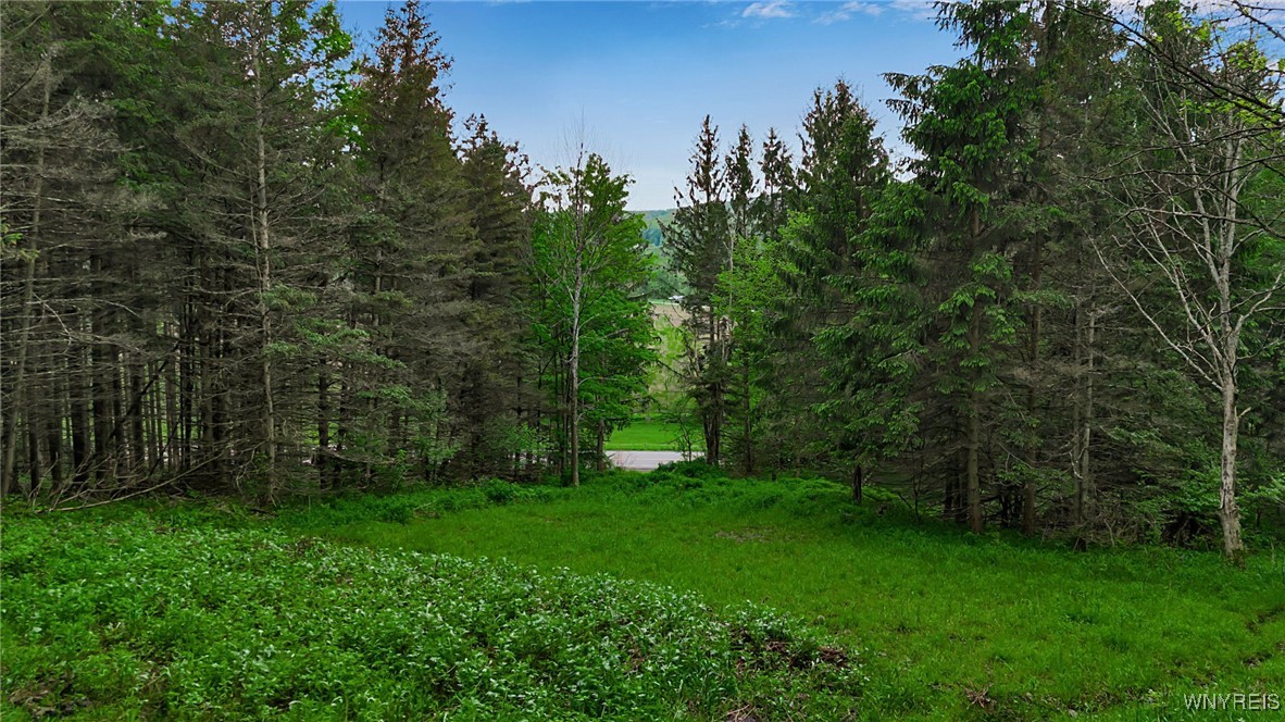 Vl Maples Road Little Valley, NY 14755 - Photo 8 of 12