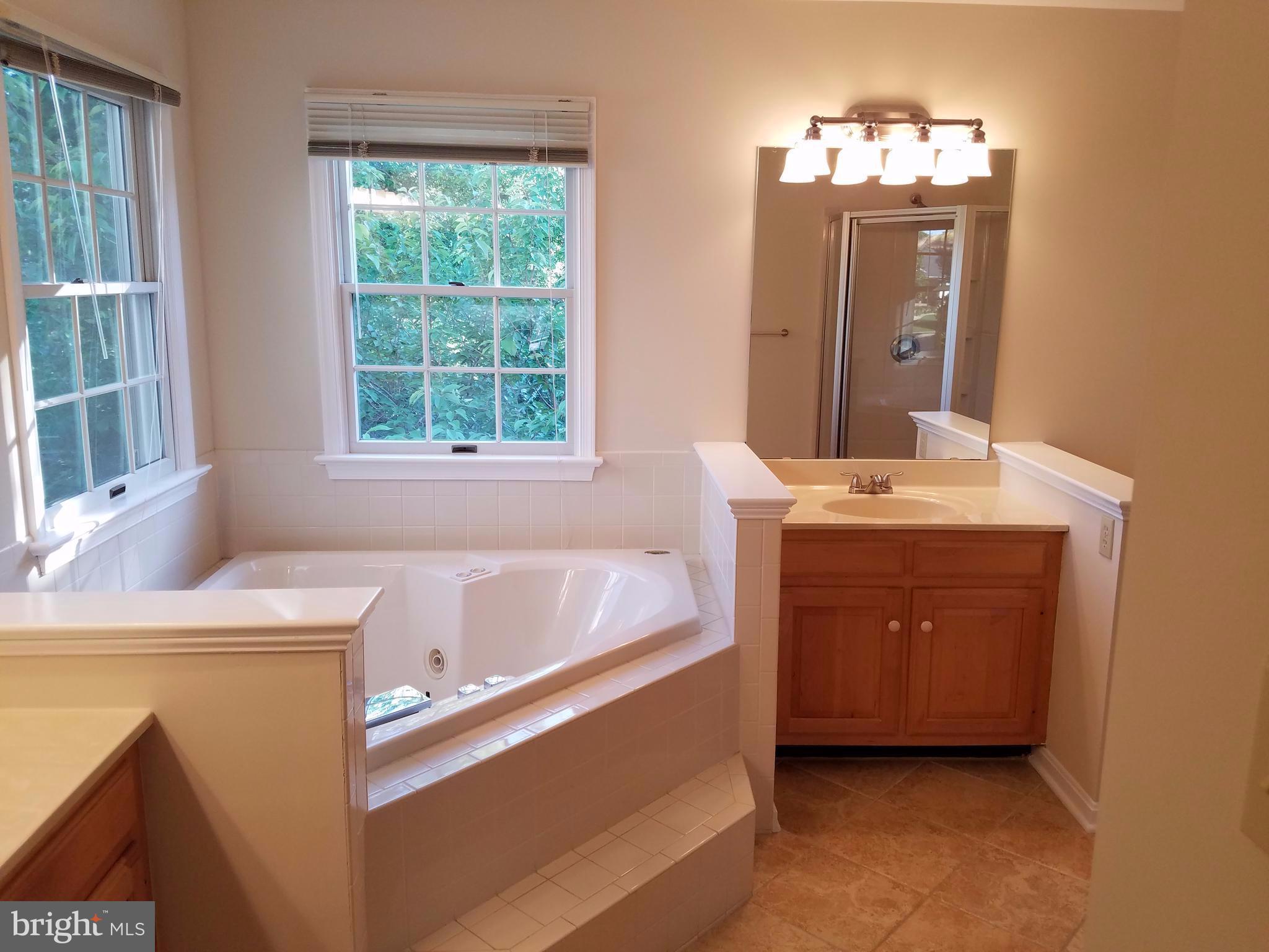 2103 Banner Hill Road Frederick, MD 21702 - Photo 8 of 11 Master Bath