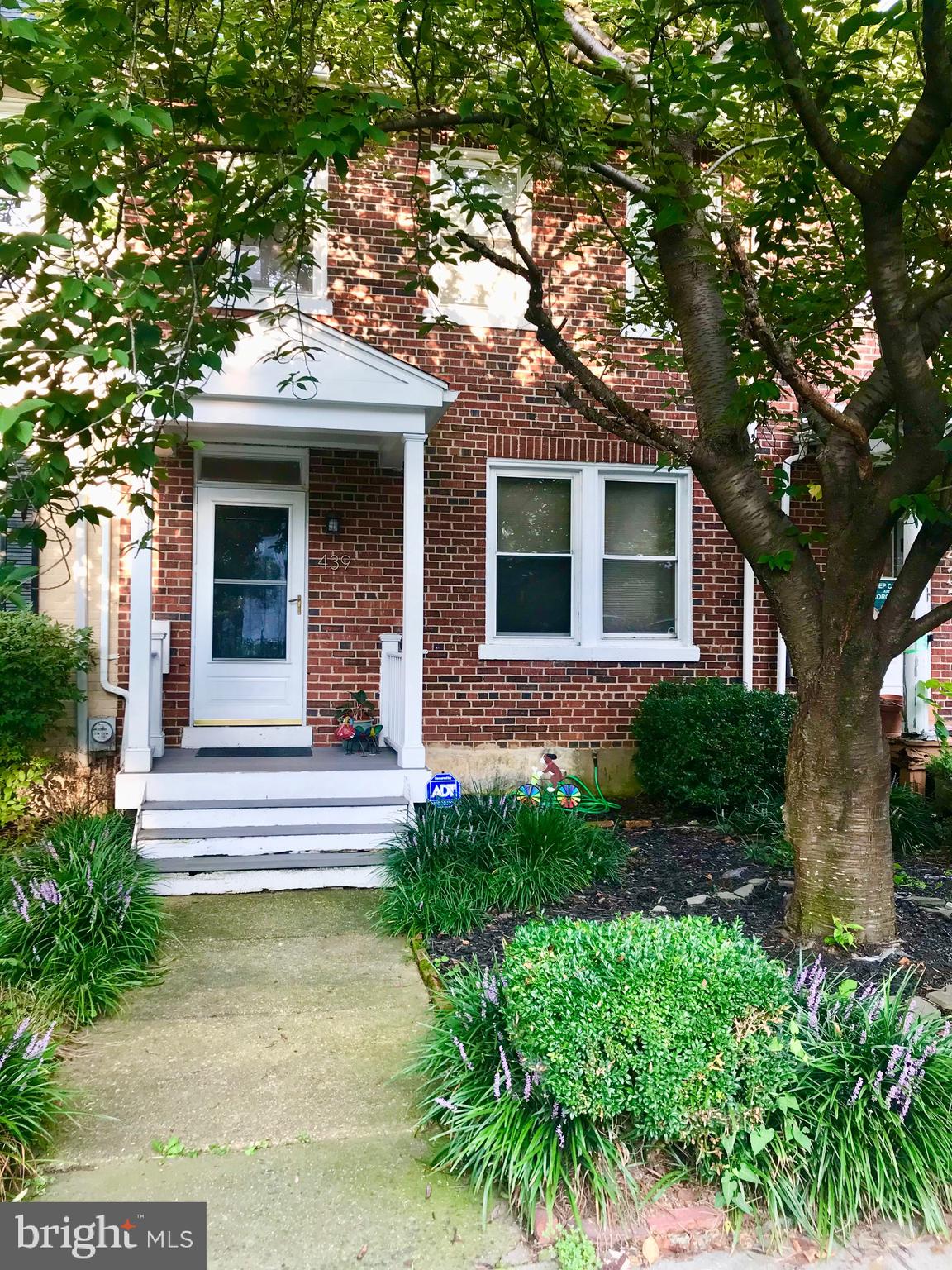 a view of a house with potted plants and a large tree