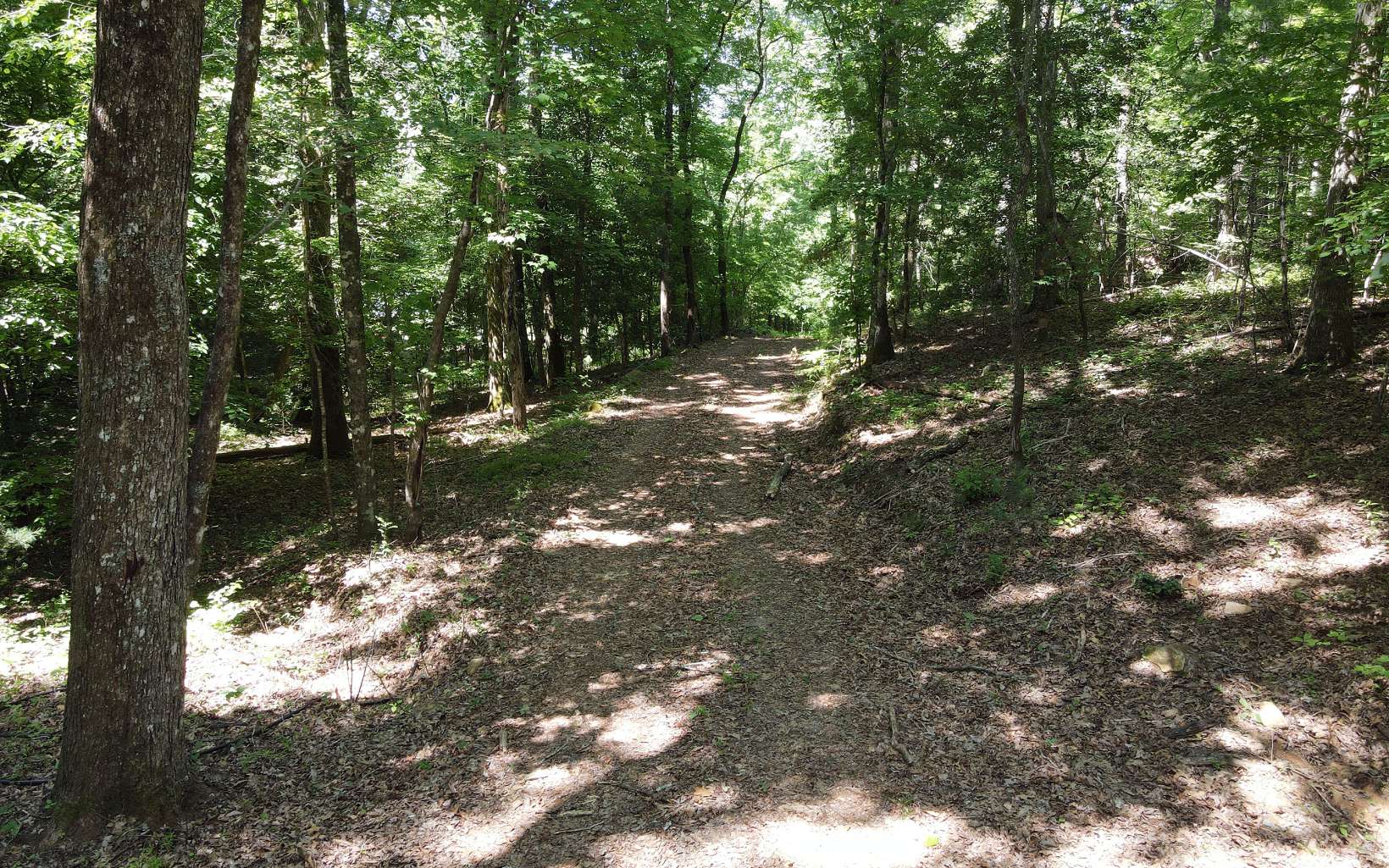 4.39 Ac Lebanon Blue Ridge, GA 30513 - Photo 14 of 36 Additional View