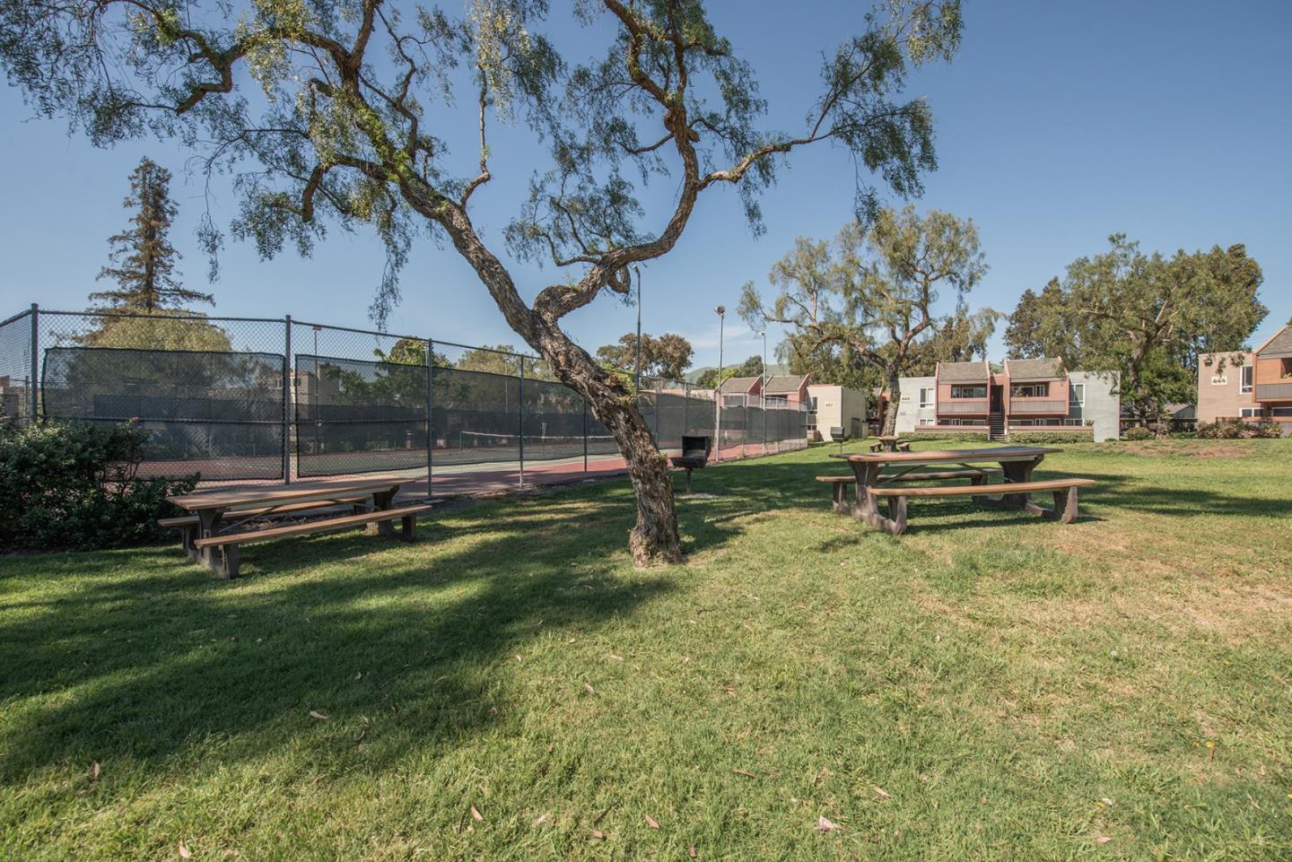 492 Dempsey Road, Unit 193 Milpitas, CA 95035 - Photo 30 of 35 a view of a park with large trees