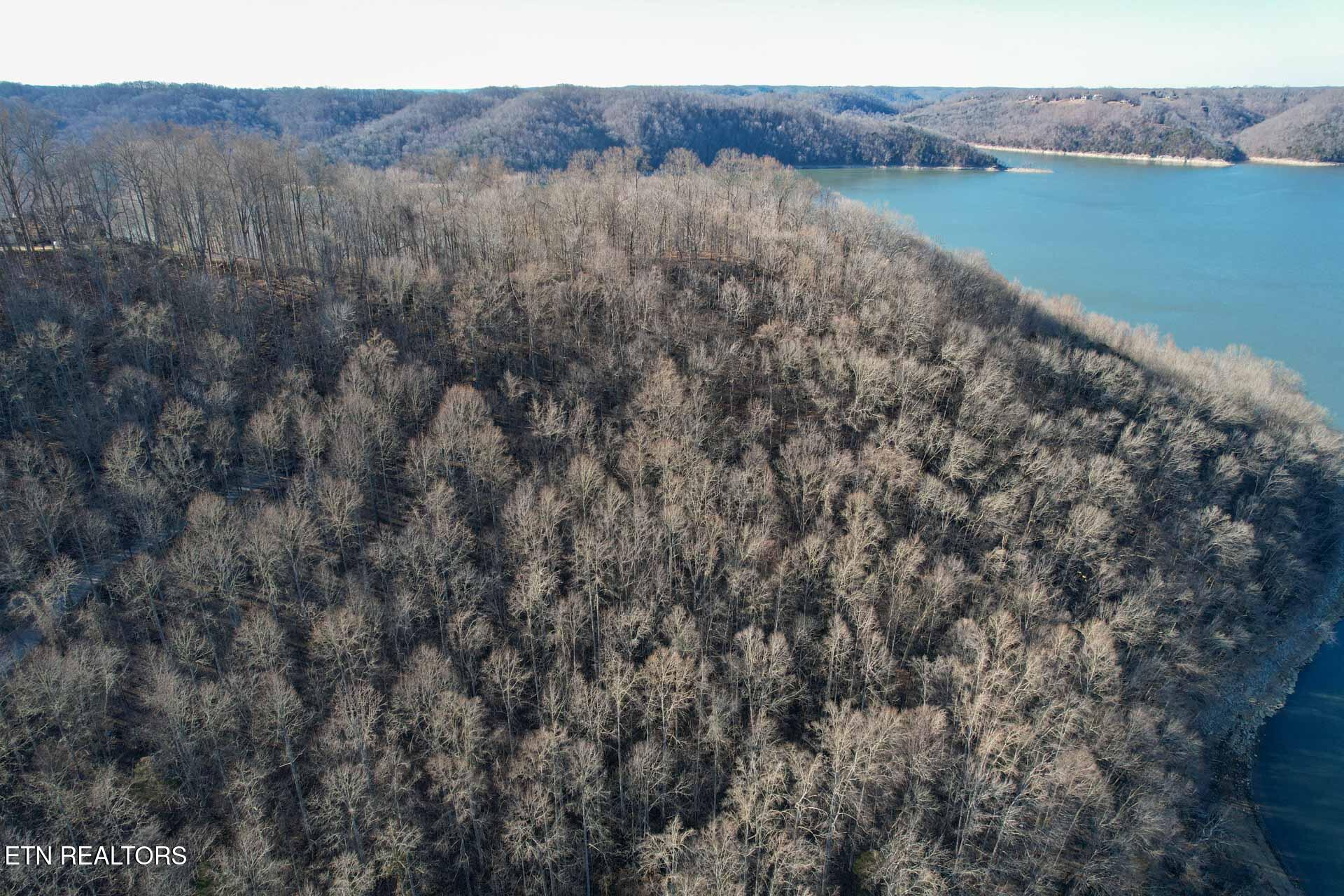 0 Back Bone Road Sparta, TN 38583 - Photo 14 of 23 DJI_0384