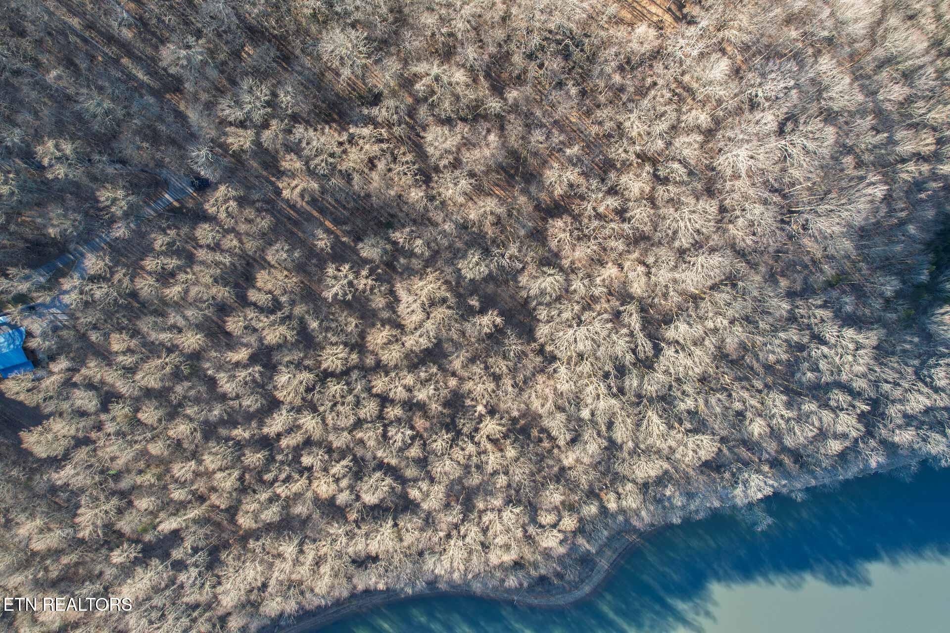 0 Back Bone Road Sparta, TN 38583 - Photo 20 of 23 DJI_0387