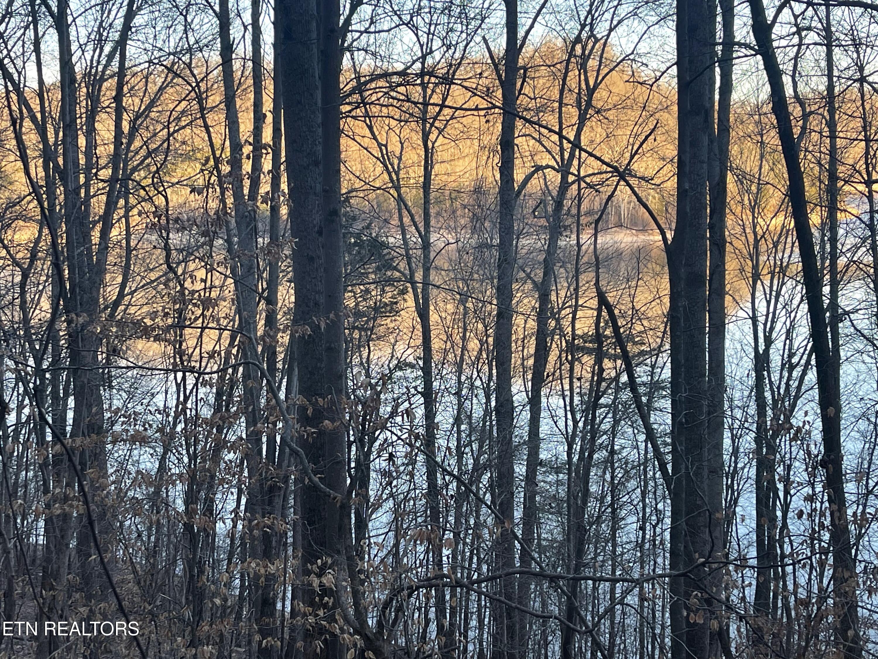 0 Back Bone Road Sparta, TN 38583 - Photo 3 of 23 IMG_4037