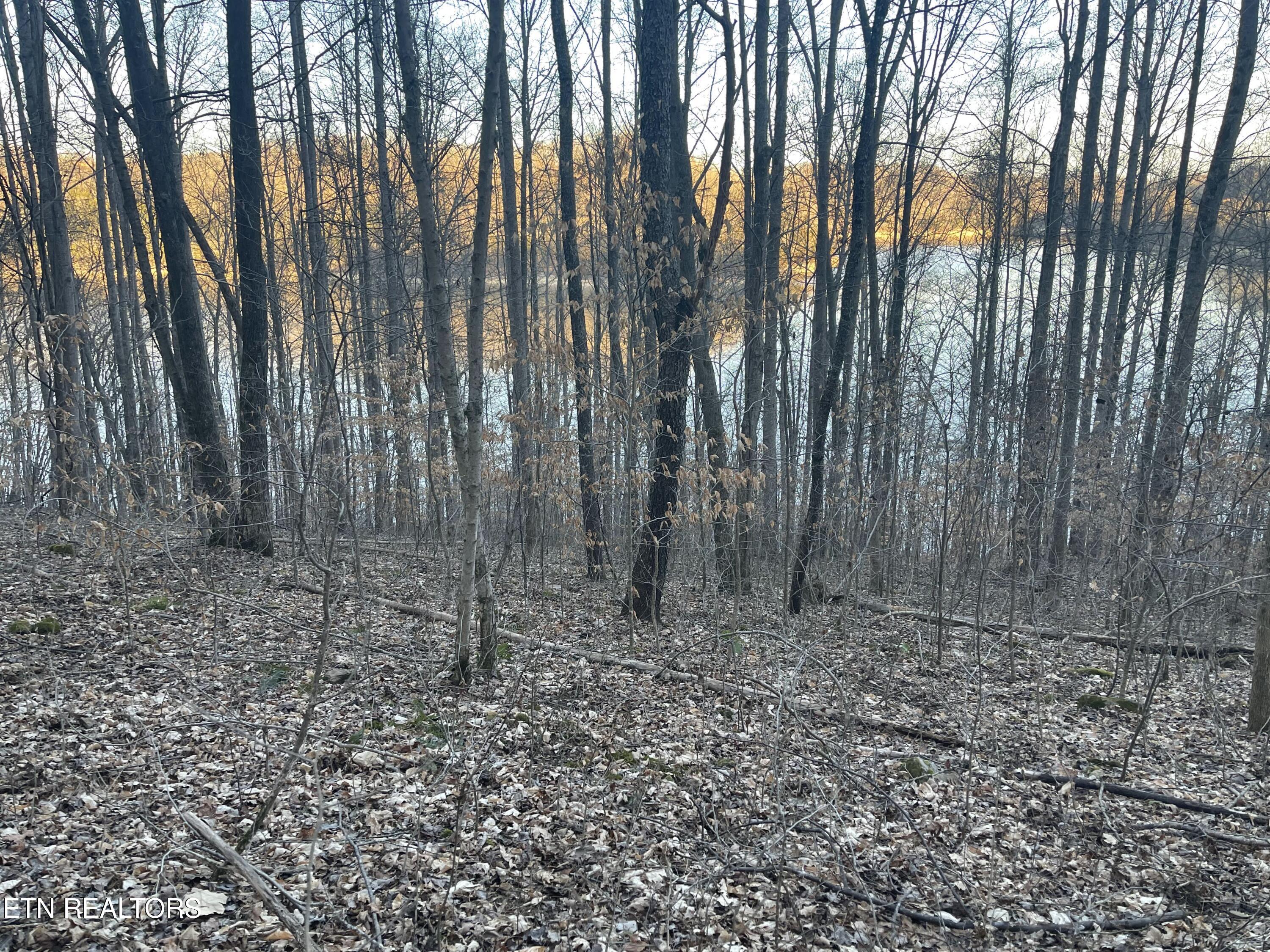 0 Back Bone Road Sparta, TN 38583 - Photo 7 of 23 IMG_4041