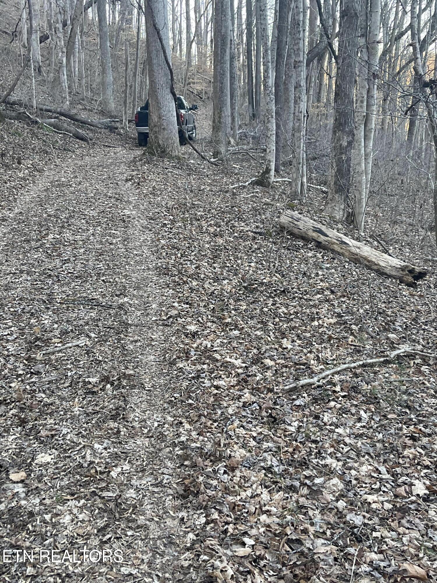 0 Back Bone Road Sparta, TN 38583 - Photo 10 of 23 IMG_4045