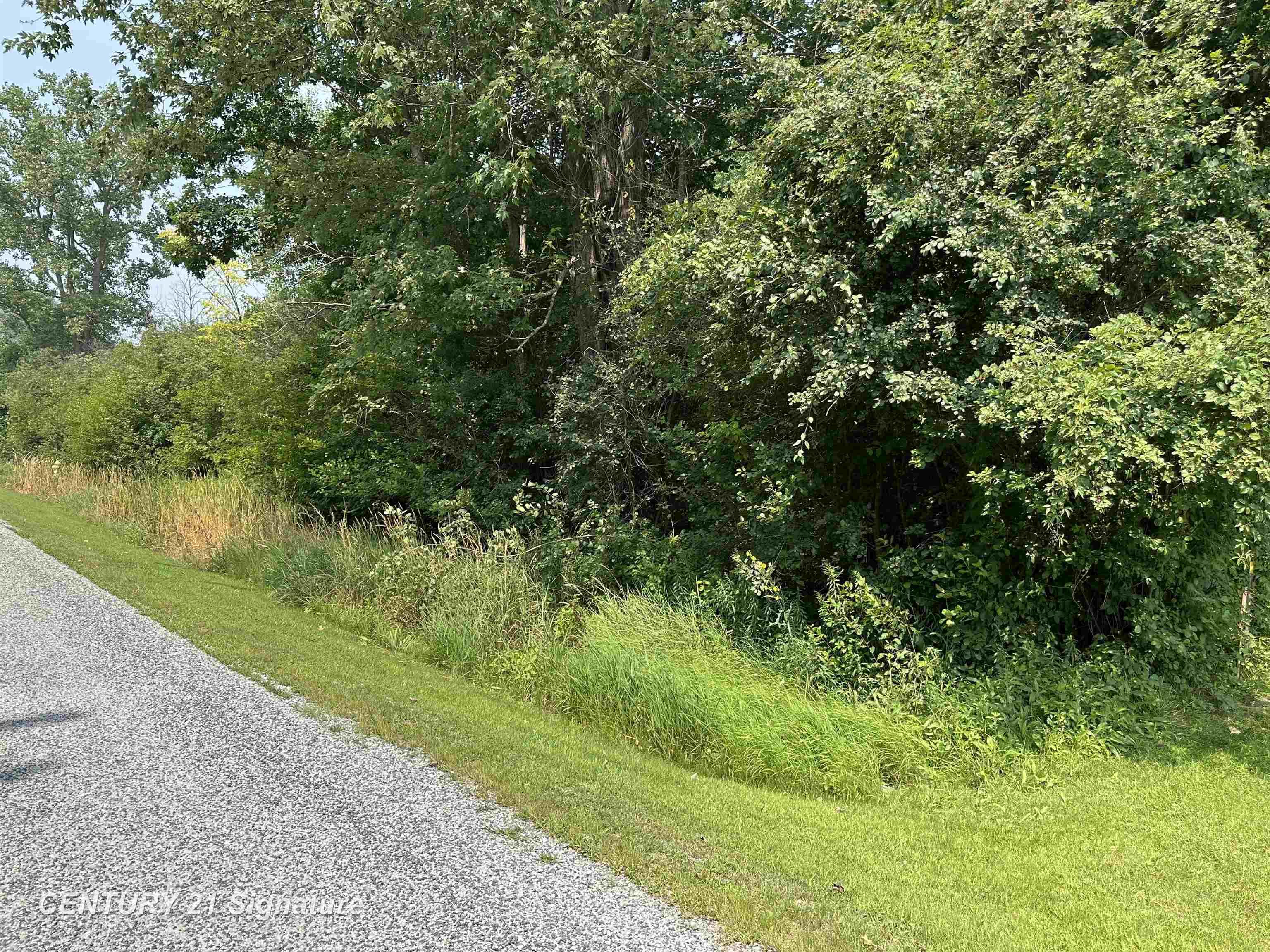 0 Townline Road Birch Run, MI 48415 - Photo 1 of 6