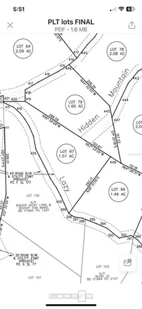 a view of a forest that has large trees