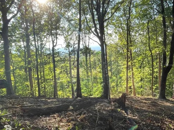 a view of a wooden door