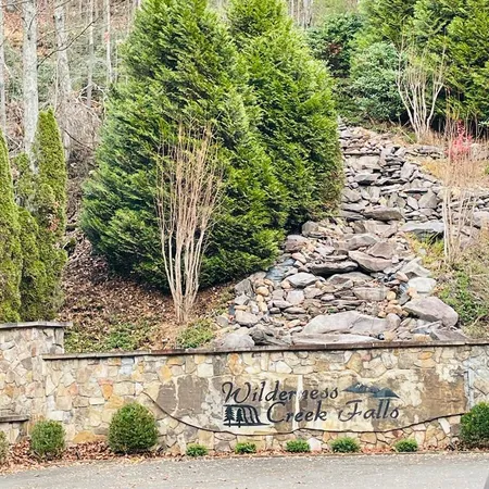 a view of a forest with a tree