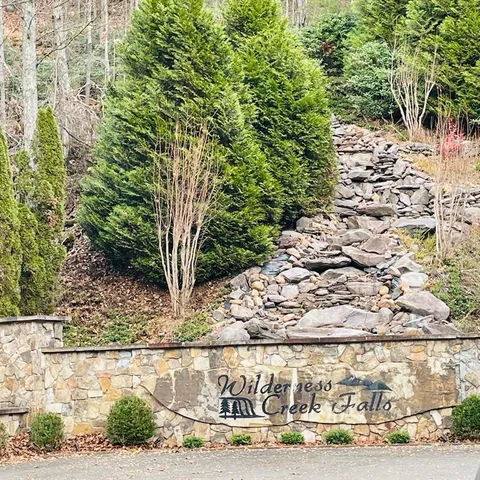 a view of a forest with a tree