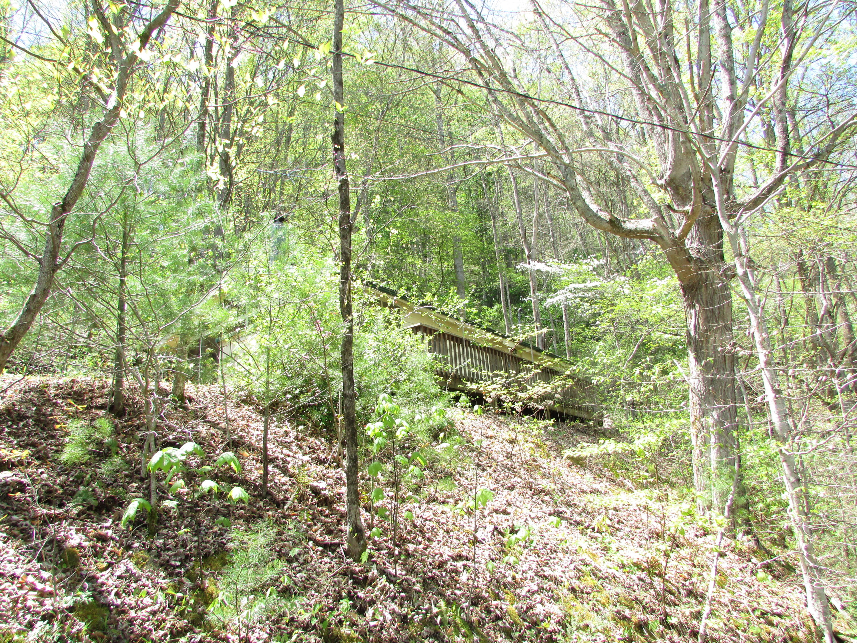178 Cable Hollow Road Butler, TN 37640 - Photo 7 of 30 178 Cable Hollow Road Butler TN 37640 (3
