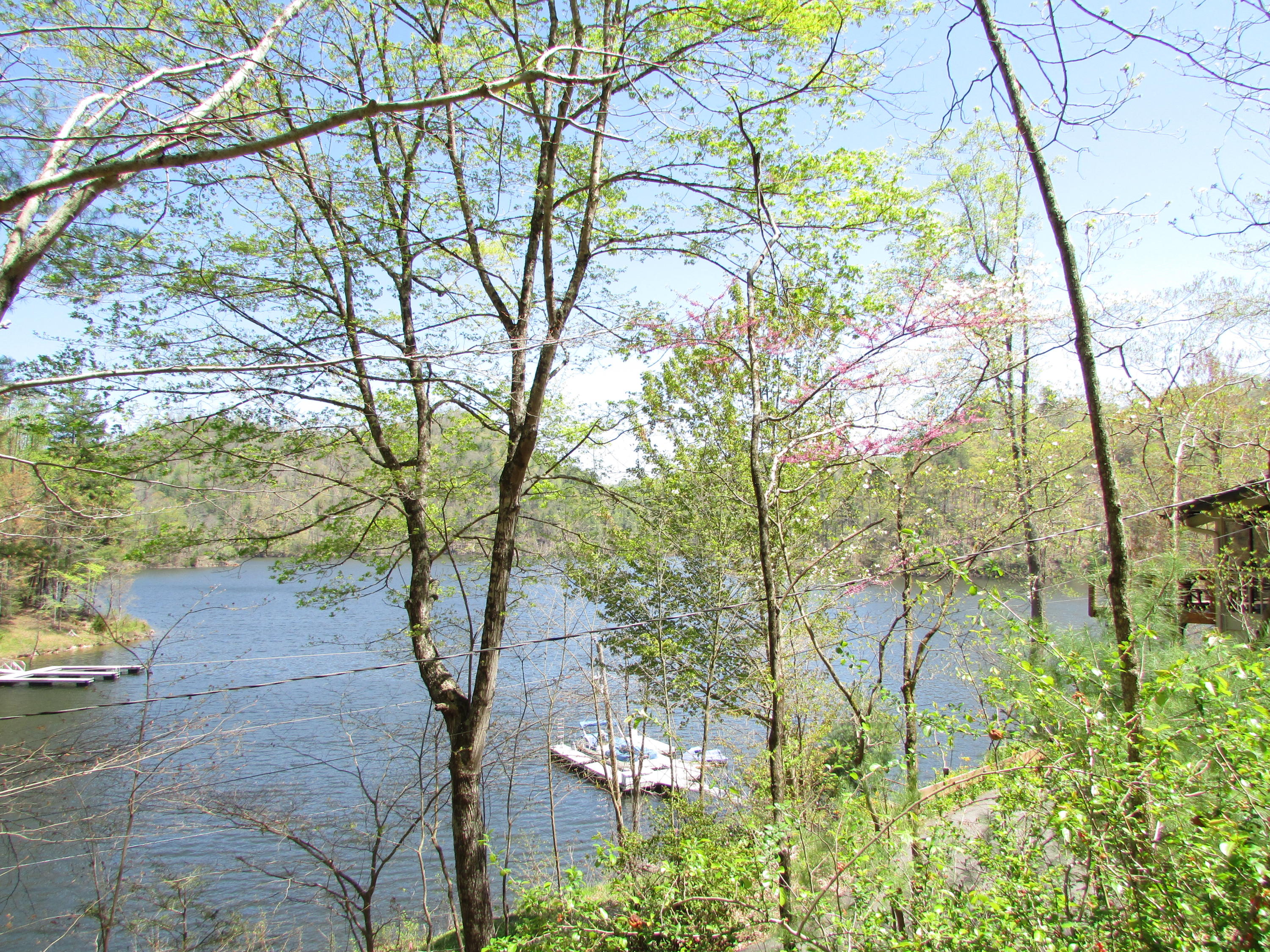 178 Cable Hollow Road Butler, TN 37640 - Photo 10 of 30 178 Cable Hollow Road Butler TN 37640 (3