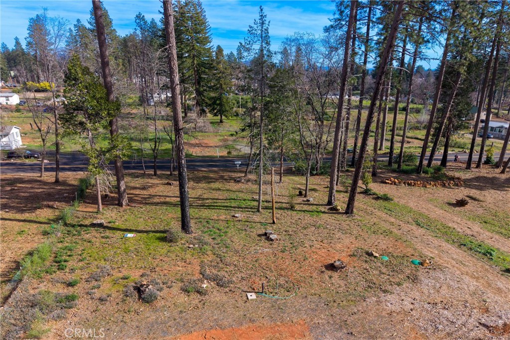 6305 Oak Way Paradise, CA 95969 - Photo 8 of 9 a view of a park with large trees