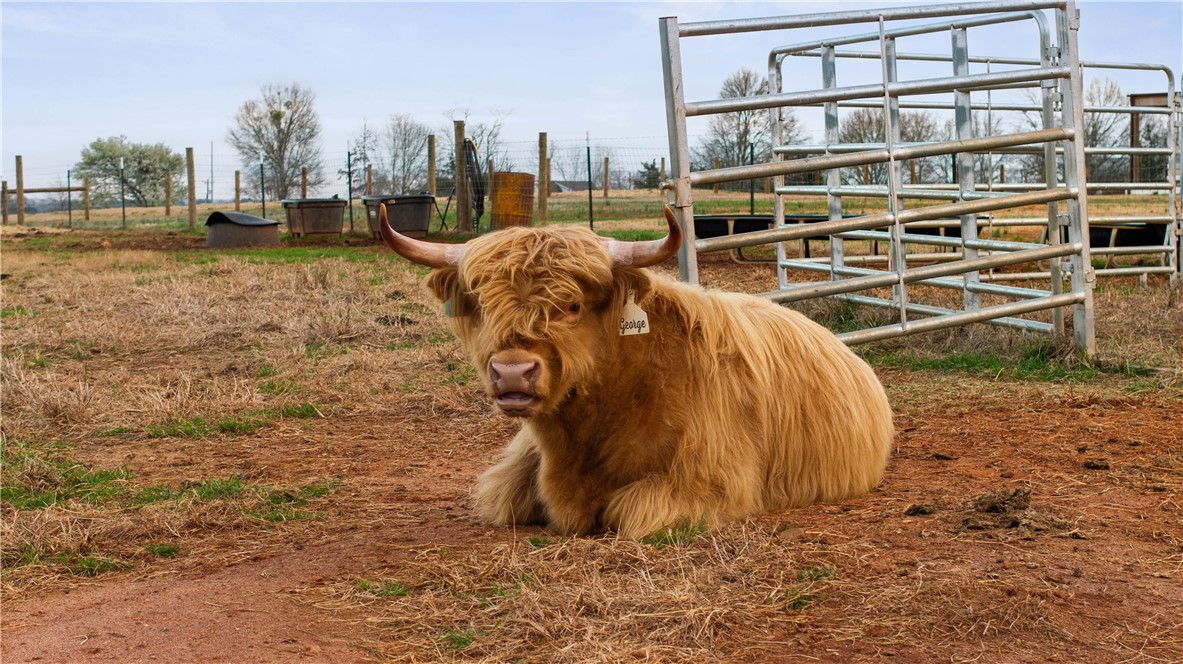 2811 Lebanon Road Pendleton, SC 29670 - Photo 41 of 50 George is included in the sale, serene backdrop for any agricultural farming pursuit.