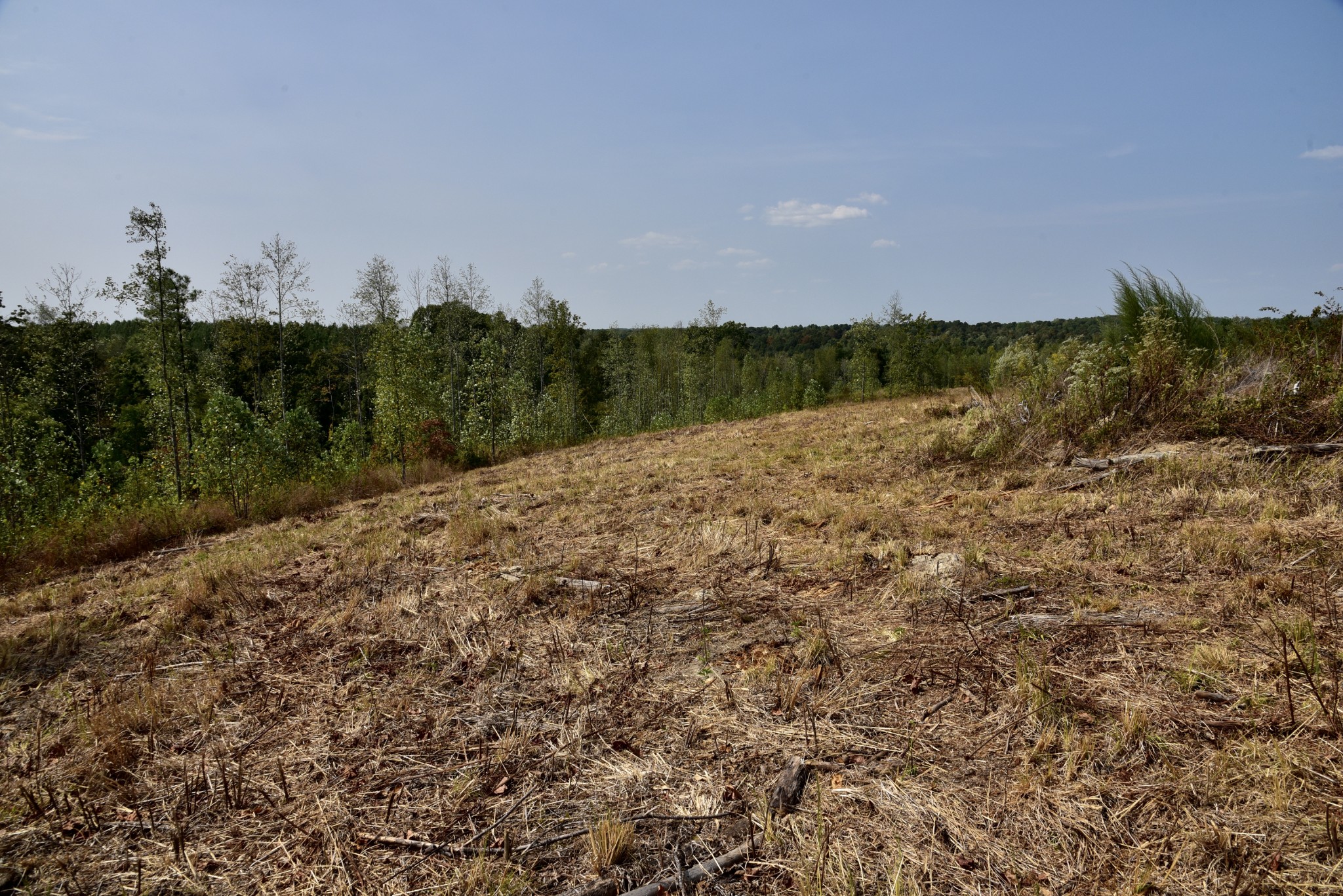0 Fire Tower Road Erin, TN 37061 - Photo 11 of 31 Gallery Image 11