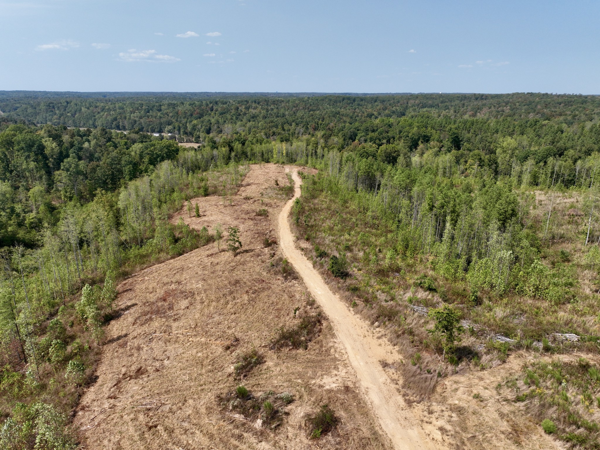 0 Fire Tower Road Erin, TN 37061 - Photo 15 of 31 Gallery Image 15