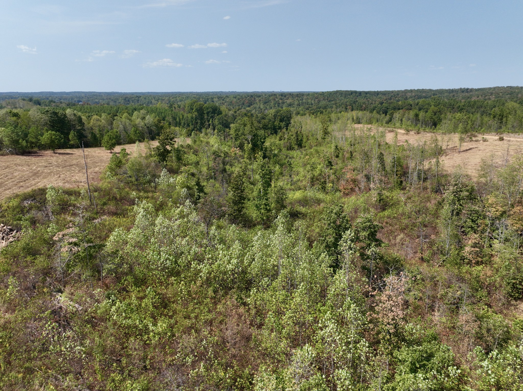 0 Fire Tower Road Erin, TN 37061 - Photo 16 of 31 Gallery Image 16