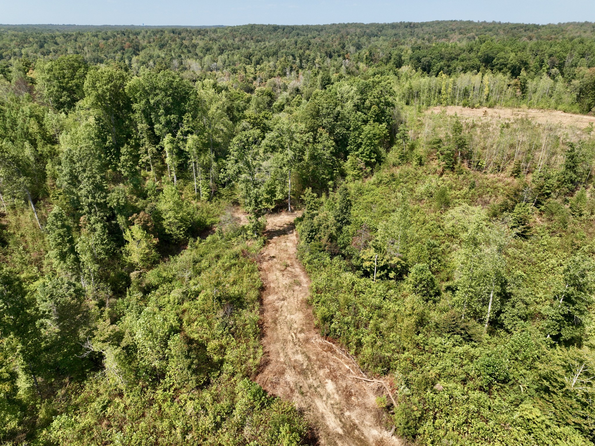 0 Fire Tower Road Erin, TN 37061 - Photo 17 of 31 Gallery Image 17