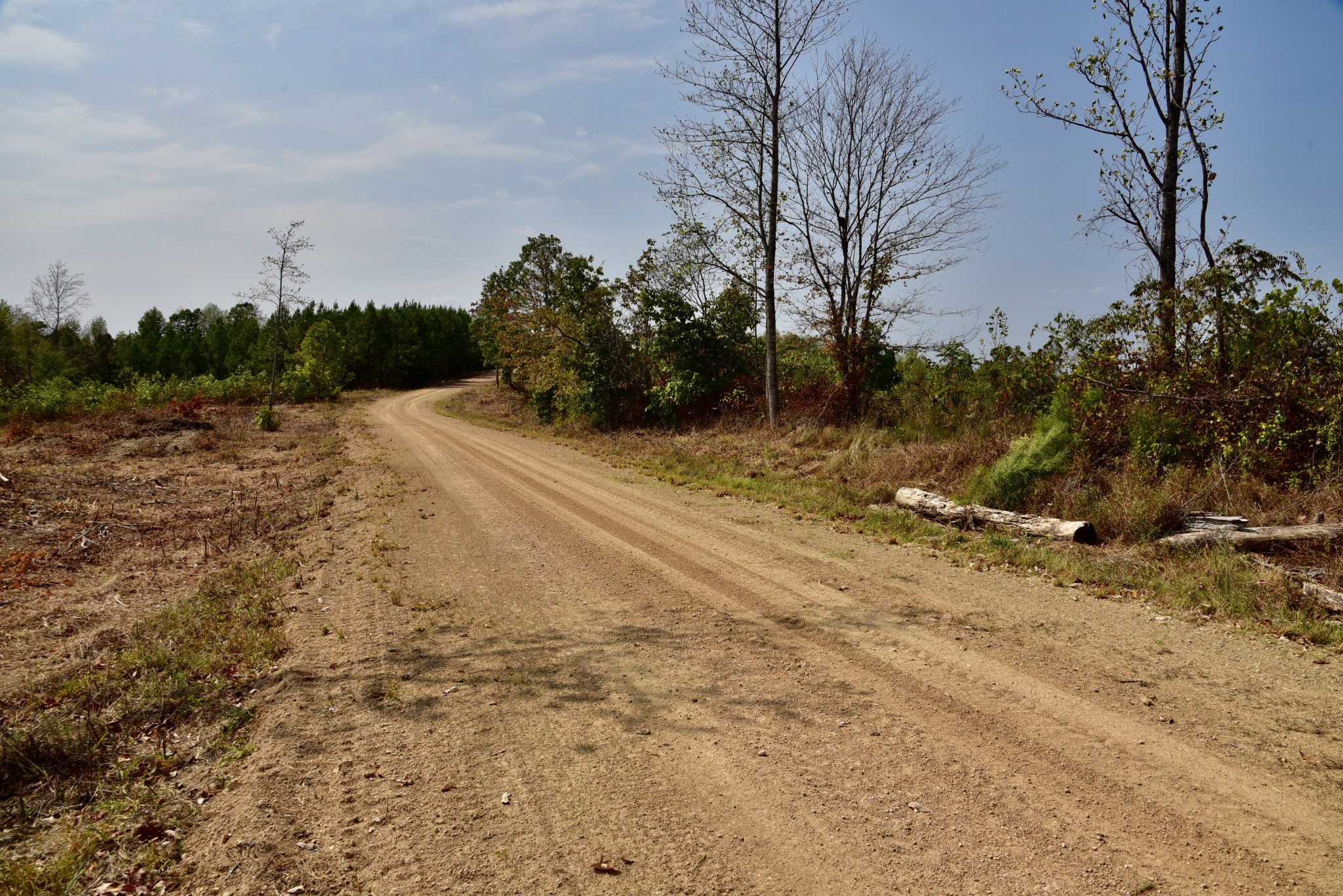 0 Fire Tower Road Erin, TN 37061 - Photo 18 of 31 Gallery Image 18