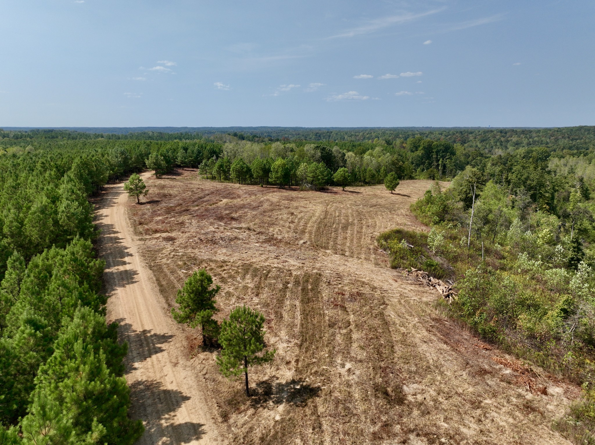 0 Fire Tower Road Erin, TN 37061 - Photo 19 of 31 Gallery Image 19