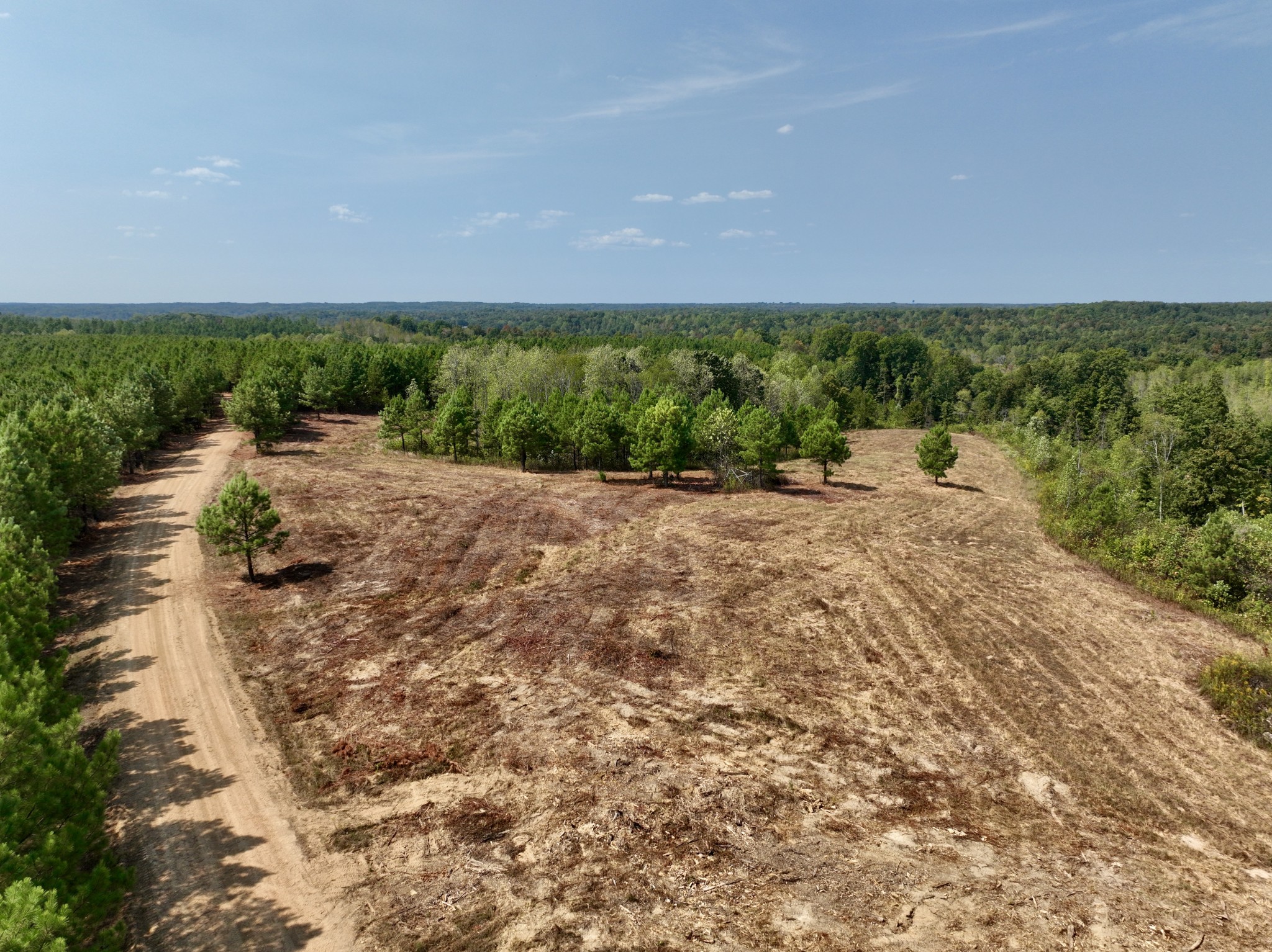 0 Fire Tower Road Erin, TN 37061 - Photo 20 of 31 Gallery Image 20