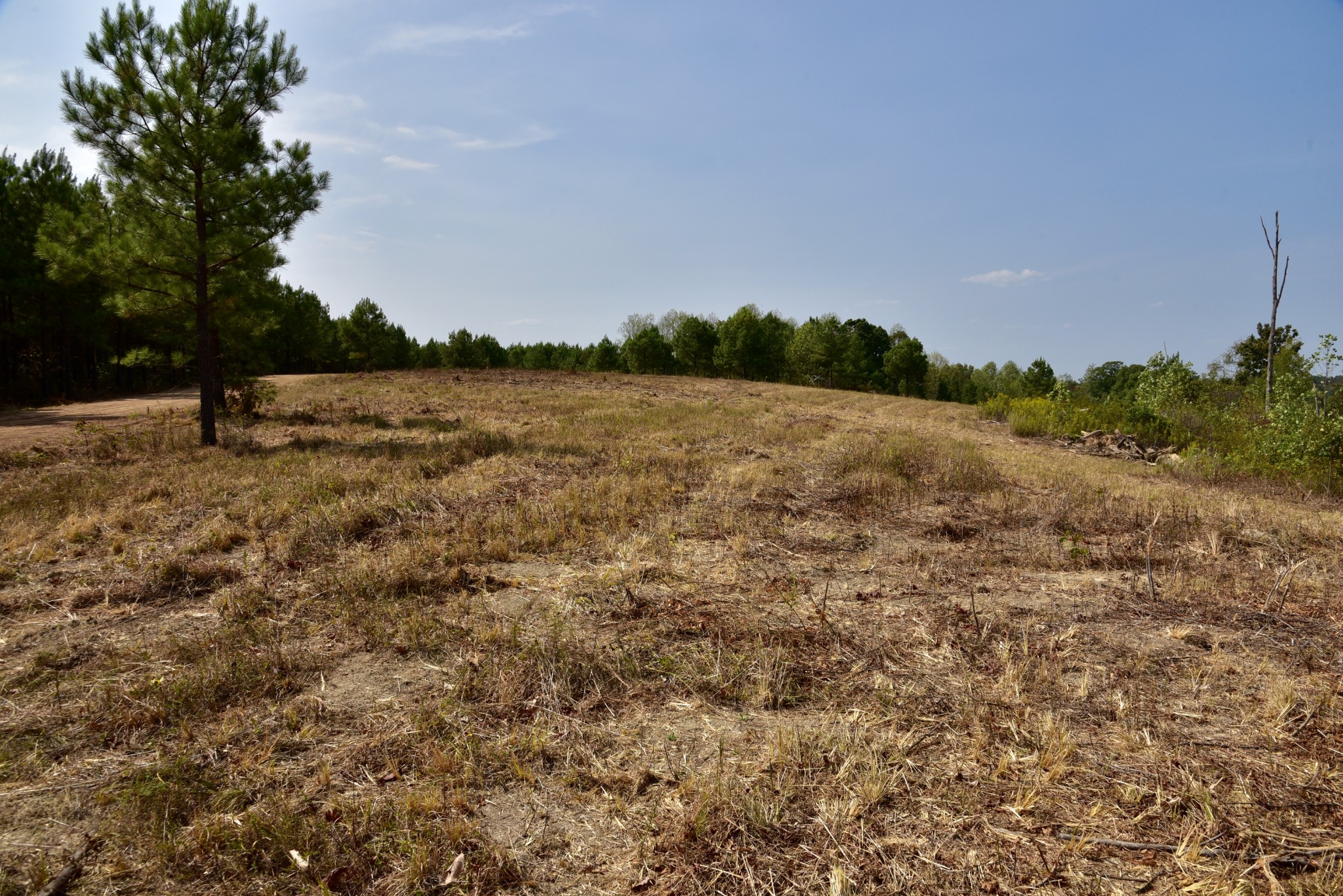 0 Fire Tower Road Erin, TN 37061 - Photo 21 of 31 Gallery Image 21