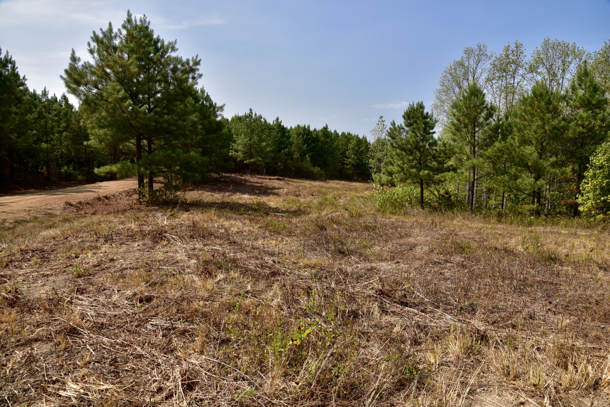 0 Fire Tower Road Erin, TN 37061 - Photo 22 of 31 Gallery Image 22